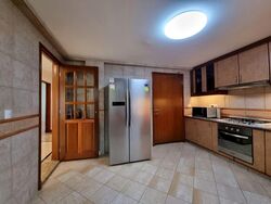 Cavenagh Lodge (D9), Apartment #569723721